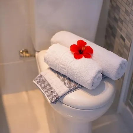 White Blue וילה *